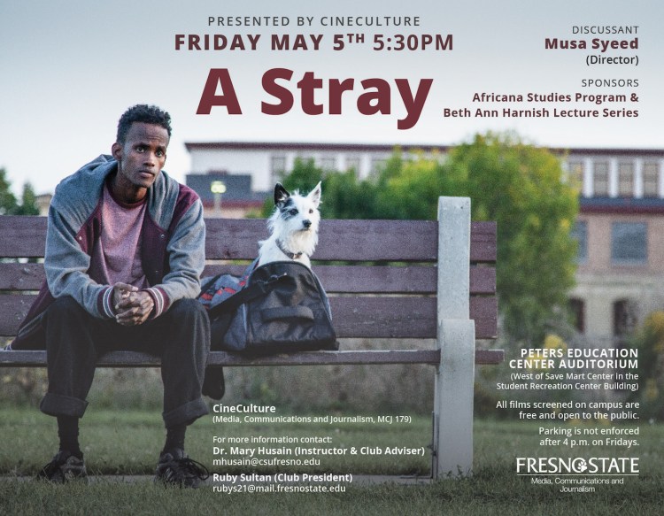 Poster for movie "A Stray"