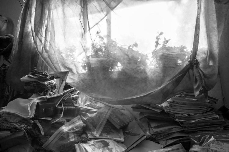 Photo from Sara Deasy's exhibition, titled "Garden Birds."