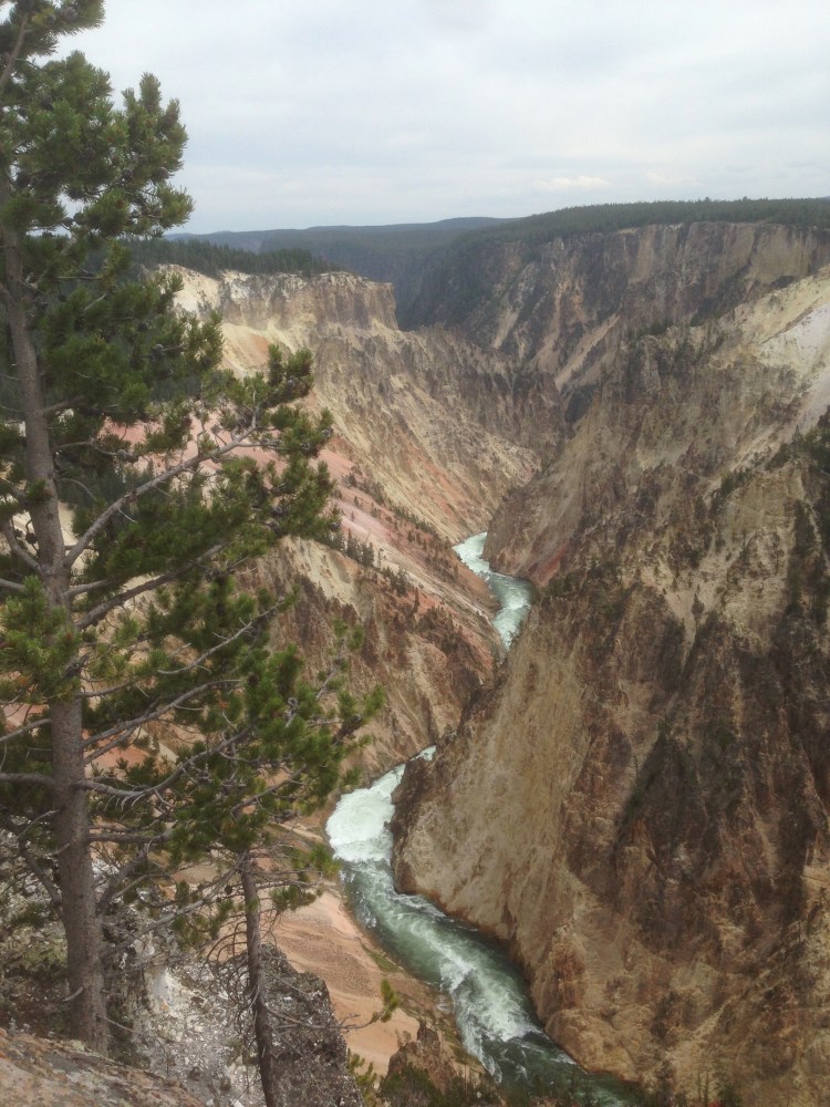 A river in Yellowstone National Park.
