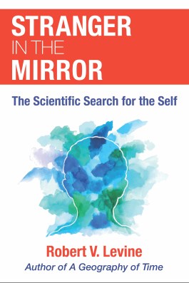 Book cover of "Stranger in the Mirror"