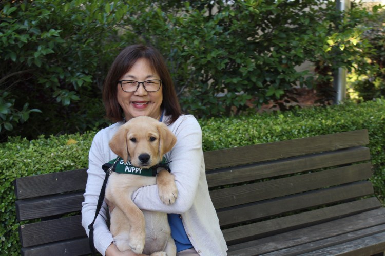 Carol Sera and her guide-dog-in-training Debra