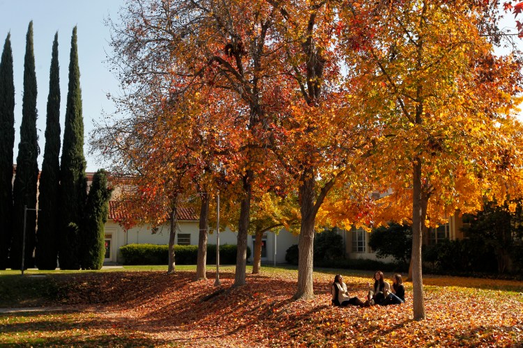 Fall trees by the music building