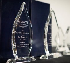 Rosato and Tucker's awards