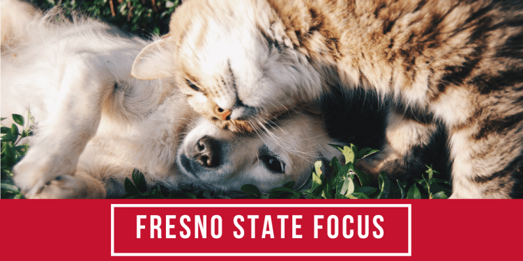 Fresno State Focus looks at pet adoption near the holidays
