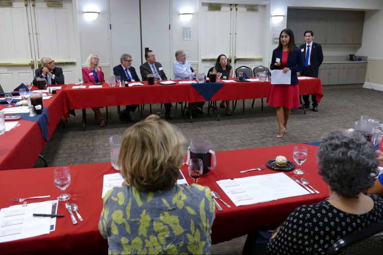 Dora Westerlund talks to the President's Commission on the Future of the Arts and Humanities