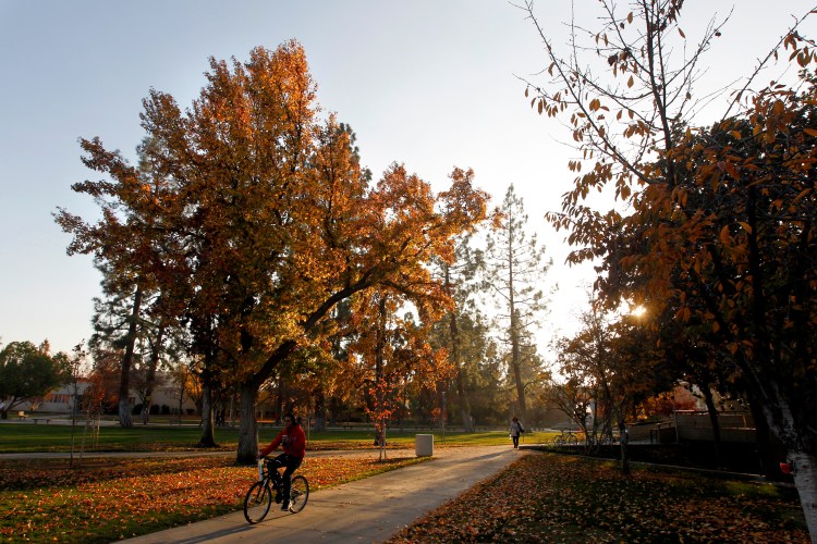 Fall scene on campus