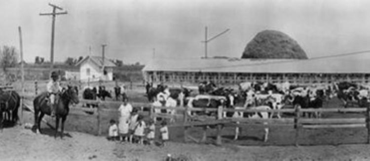 Ranch in Tulare County