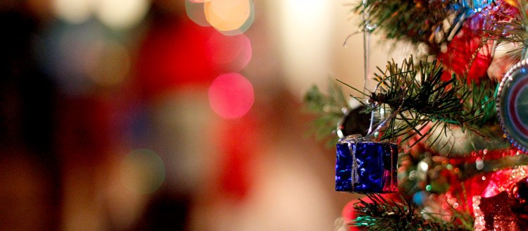 Christmas Tree photo by Cary Edmondson