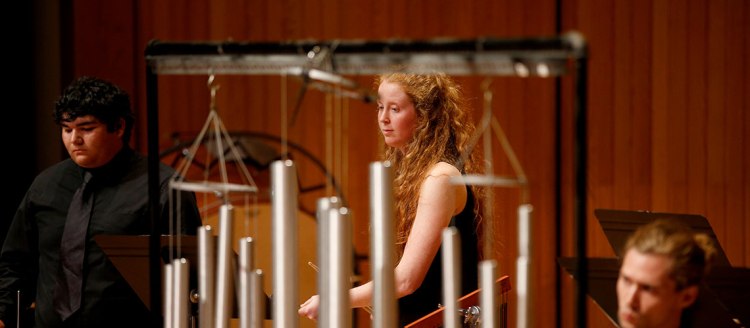 Percussion musicians in concert