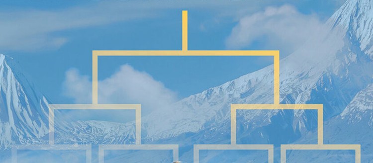 Mountains and a genealogy tree for the film "What will become of us"