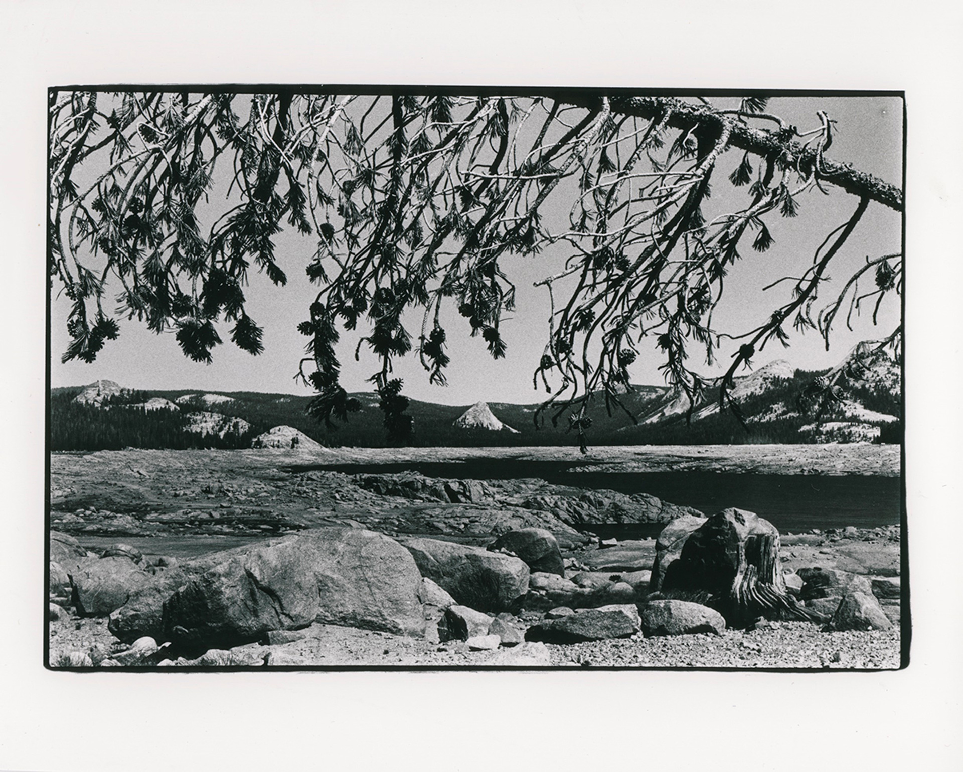 A black and white image reminiscent of a vintage photograph shows a flat, rocky area. A lake can be seen near by in the center and right of this area, and a tree leans over the top of the image. In the background, a forested mountain range can be seen with some peaks being void of trees.