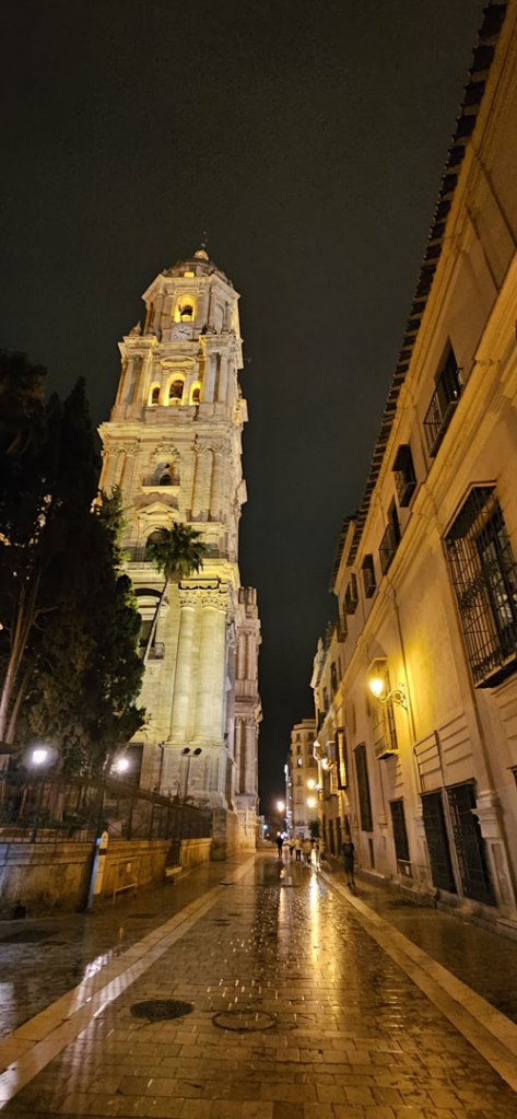 Málaga Cathedral at night