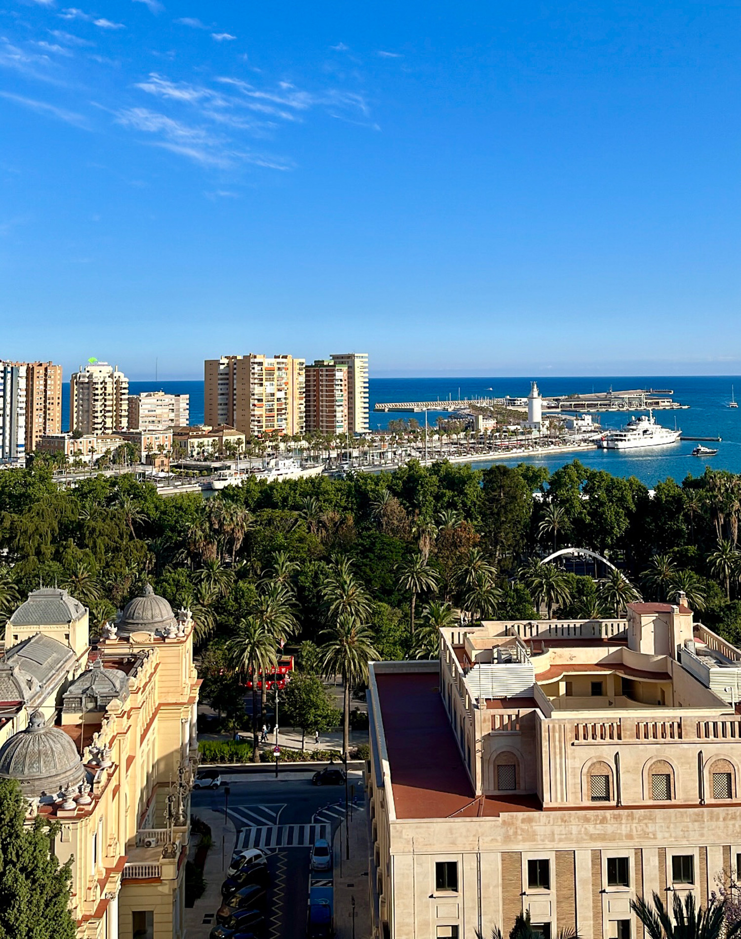 A coastal city with trees and buildings in view, as well as a harbor with boats.