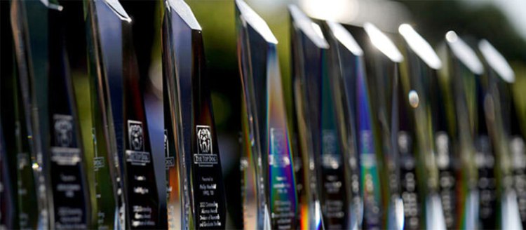 Top Dog glass sculpture awards.