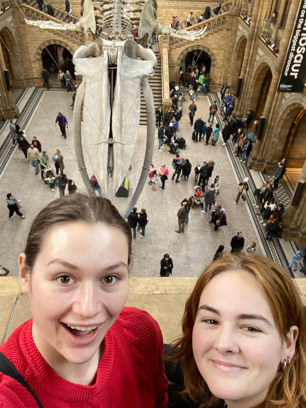 Celeste Jones in a natural history museum in London.